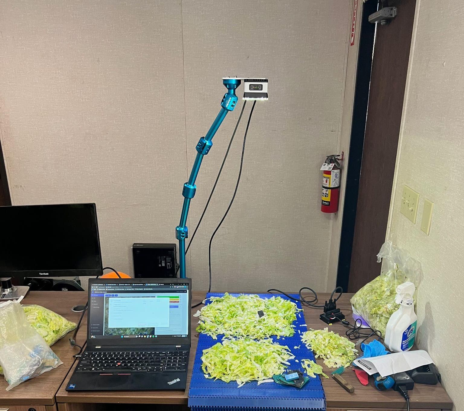 The 2026 Taco Bell Cyclospora Outbreak: Inspection Gaps in Fresh-Cut Lettuce