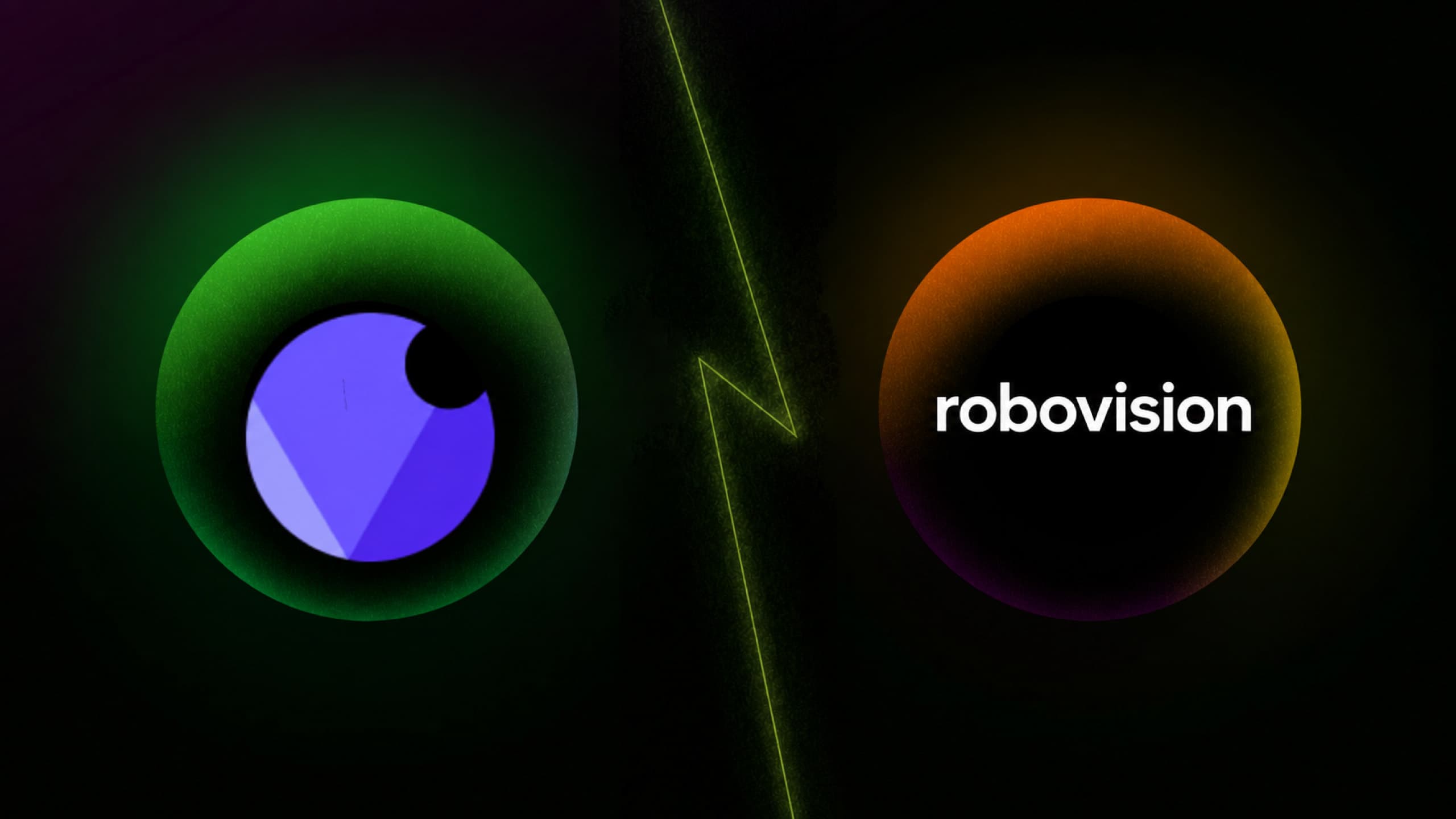 Overview AI vs Robovision